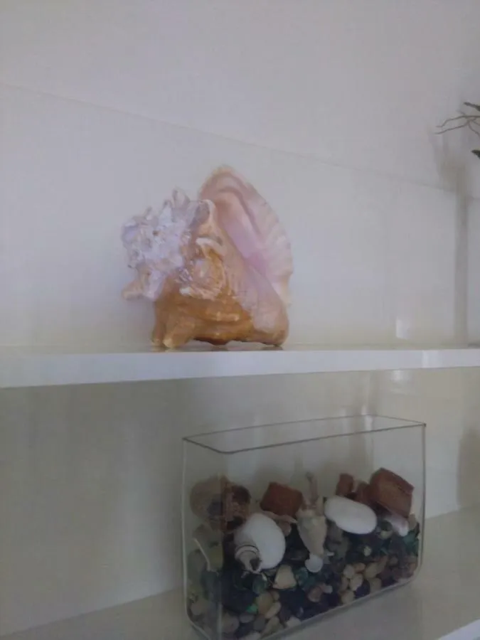 Vento Di Greco Apartment San Bartolomeo Al Mare 0*,  Italy